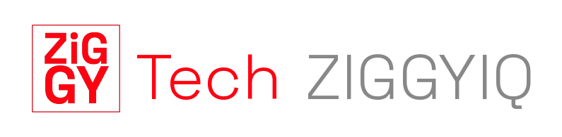 ZiggyTech IQ Wordmark