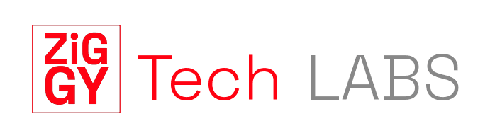 ZiggyTech Labs Wordmark